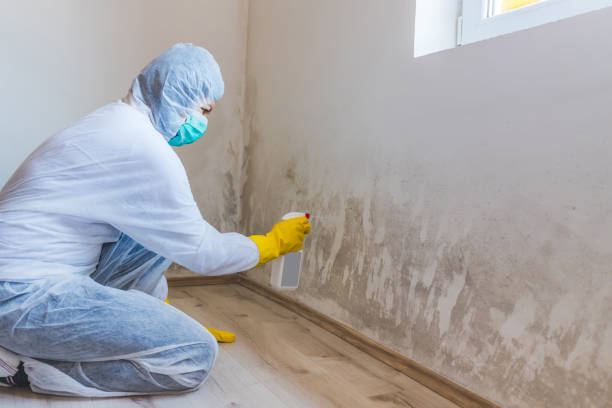 Hvac And Air Duct Mold Remediation inspection of HVAC system in Magnolia